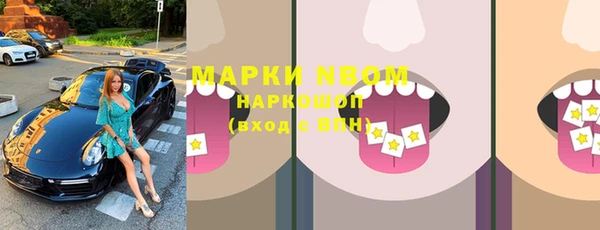 индика Ладушкин