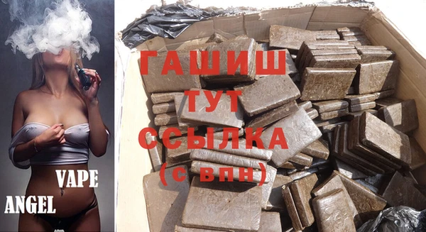 индика Ладушкин