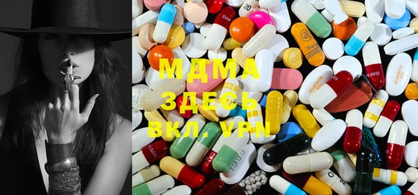 индика Ладушкин