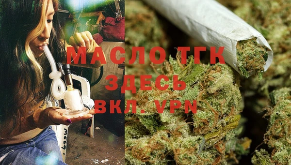 молекула духа Лабытнанги