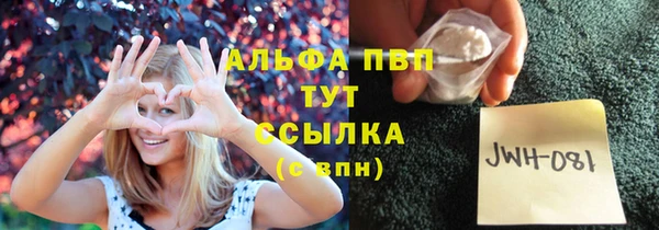 молекула духа Лабытнанги