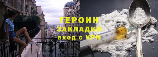 индика Ладушкин