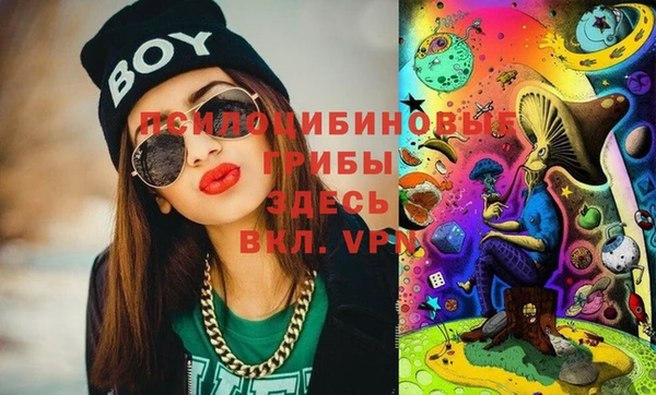 индика Ладушкин