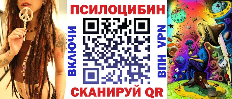 Купить закладки  Рубцовск  Галлюциногенные грибы Psilocybe